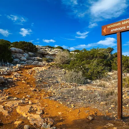 Vivo Mare Beachfront - Emerald Villa